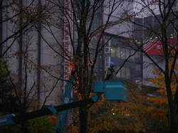 PB081076.JPG