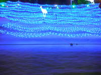 PC201162.JPG