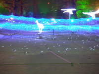 PC201164.JPG