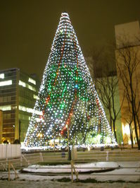 PC201165.JPG