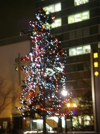 PC201166.JPG