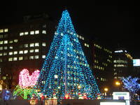PC201170.JPG