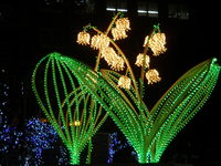 PC201171.JPG