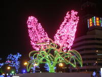 PC201173.JPG