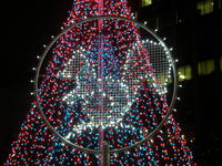 PC201176.JPG