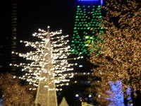 PC201179.JPG