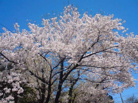 20110511104822.jpg