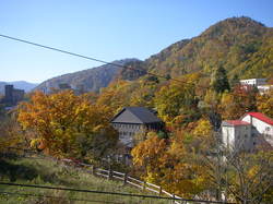 PA191667.JPG