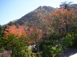 PA191671.JPG