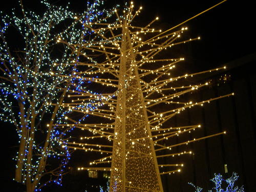 PC010610.JPG