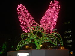 PC010619.JPG