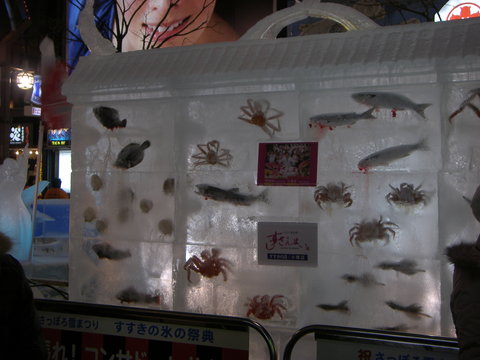 P2070501.JPG