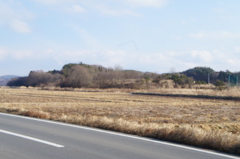DSC00544.JPG