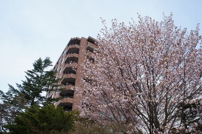 DSC00760_R.JPG