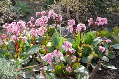 DSC00762_R.JPG