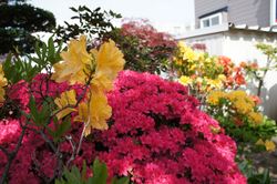 DSC00769_R.JPG