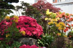 DSC00773_R.JPG