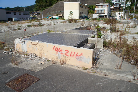 DSC00312.JPG