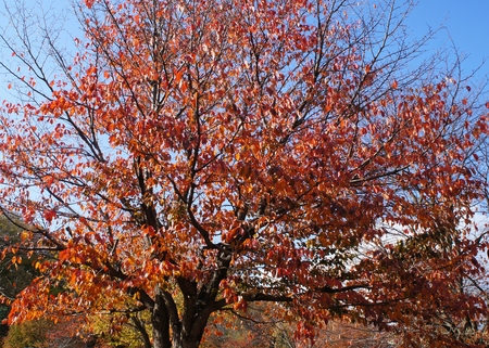 DSC00968.JPG