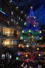 DSC01027_R.JPG
