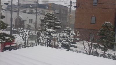 DSC_0090.jpg