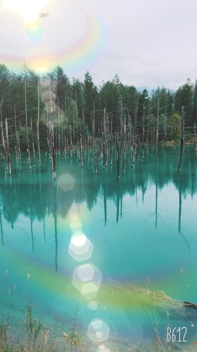 青の池2.JPG