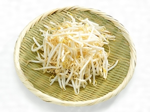 もやし.jpg