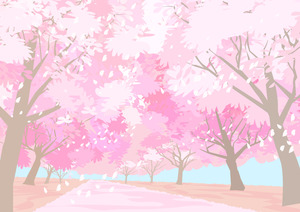 桜並木.jpg