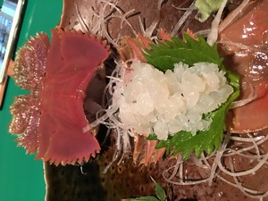 IMG_1488.JPG